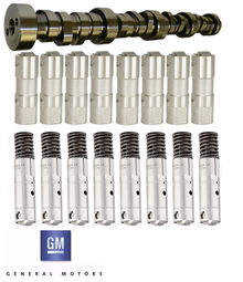 GENUINE GM AFM CAMSHAFT AND LIFTERS PACK TO SUIT HOLDEN CAPRICE WL WM WN L76 L77 6.0L V8