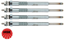 SET OF 4 NGK GLOW PLUGS TO SUIT FORD AZBA D4204T GBBG TURBO DIESEL 2.0L I4