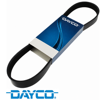 DAYCO SERPENTINE DRIVE BELT TO SUIT FORD YNWS YN2S TWIN TURBO DIESEL 2.0L I4
