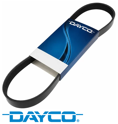 DAYCO SERPENTINE DRIVE BELT TO SUIT HOLDEN STATESMAN WH ECOTEC L36 3.8L V6 TILL VIN L661775